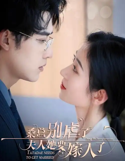 闪婚总裁短剧手机在线看